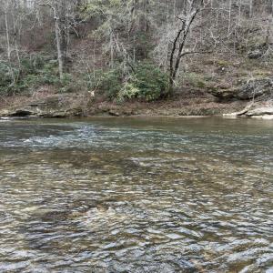 Photo #3 of Seven Island (tr 3), Danbury, NC 16.1 acres