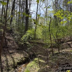 Photo #7 of Seven Island (tr 3), Danbury, NC 16.1 acres