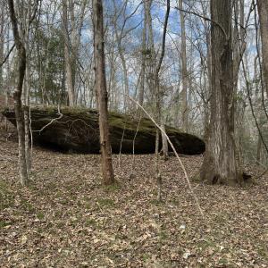 Photo #2 of Seven Island (tr 2), Danbury, NC 12.0 acres