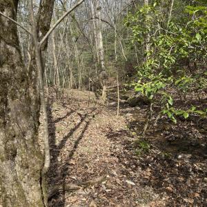 Photo #3 of Seven Island (tr 2), Danbury, NC 12.0 acres