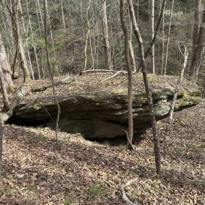 Photo #4 of Seven Island (tr 2), Danbury, NC 12.0 acres