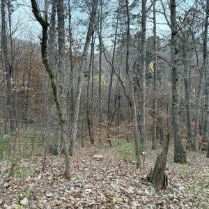 Photo #5 of 57803 Owen, Chapel Hill, NC 0.5 acres