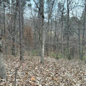 Photo #4 of 57803 Owen, Chapel Hill, NC 0.5 acres
