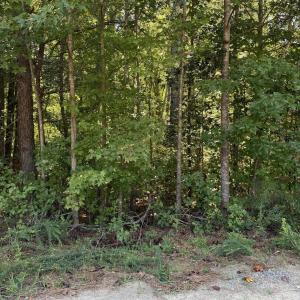 Photo #2 of Williams Farm, Sanford, NC 4.1 acres