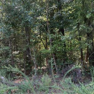Photo #3 of Williams Farm, Sanford, NC 4.1 acres