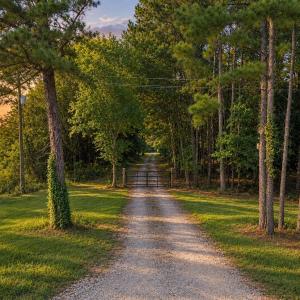 Photo #1 of 2916 Rolesville, Wendell, NC 15.0 acres