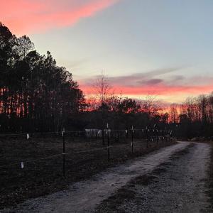 Photo #17 of 2916 Rolesville, Wendell, NC 15.0 acres