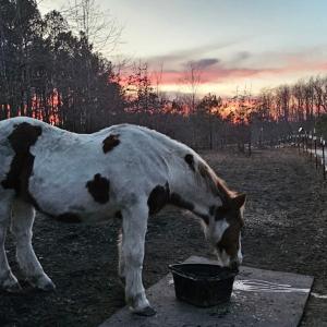 Photo #18 of 2916 Rolesville, Wendell, NC 15.0 acres