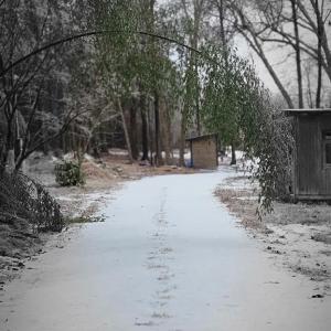Photo #15 of 2916 Rolesville, Wendell, NC 15.0 acres