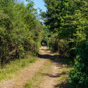Photo #15 of Lot 2 Pennstar, Mebane, NC 4.0 acres