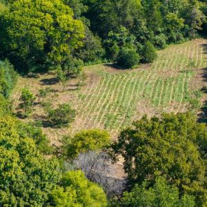Photo #6 of Lot 2 Pennstar, Mebane, NC 4.0 acres