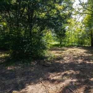 Photo #14 of Lot 2 Pennstar, Mebane, NC 4.0 acres