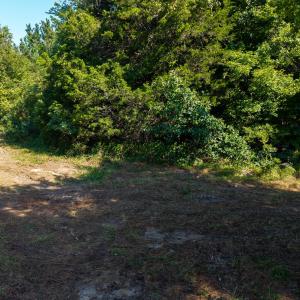 Photo #13 of Lot 2 Pennstar, Mebane, NC 4.0 acres