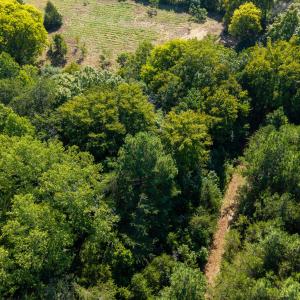 Photo #10 of Lot 2 Pennstar, Mebane, NC 4.0 acres