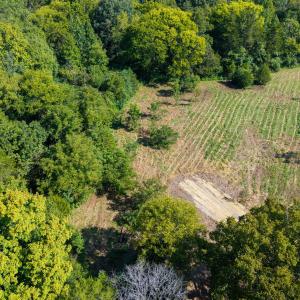 Photo #3 of Lot 2 Pennstar, Mebane, NC 4.0 acres
