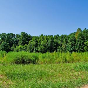 Photo #9 of 12 Rock Mill, Henderson, NC 12.5 acres