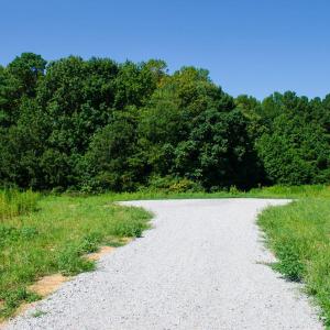 Photo #8 of 12 Rock Mill, Henderson, NC 12.5 acres