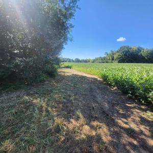 Photo #10 of Epsom Rocky Ford, Henderson, NC 32.0 acres