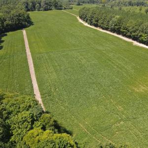 Photo #7 of Epsom Rocky Ford, Henderson, NC 32.0 acres