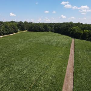 Photo #1 of Epsom Rocky Ford, Henderson, NC 32.0 acres