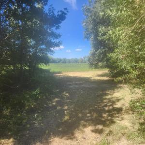 Photo #19 of Epsom Rocky Ford, Henderson, NC 32.0 acres