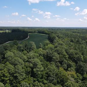 Photo #21 of Epsom Rocky Ford, Henderson, NC 32.0 acres