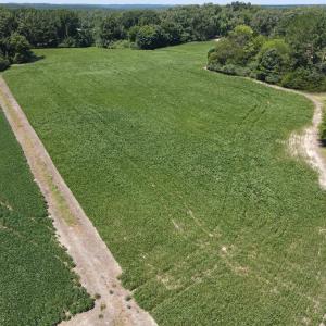 Photo #3 of Epsom Rocky Ford, Henderson, NC 32.0 acres
