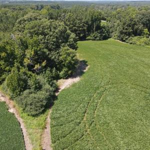 Photo #5 of Epsom Rocky Ford, Henderson, NC 32.0 acres
