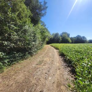 Photo #11 of Epsom Rocky Ford, Henderson, NC 32.0 acres