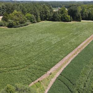 Photo #4 of Epsom Rocky Ford, Henderson, NC 32.0 acres