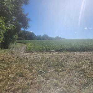 Photo #18 of Epsom Rocky Ford, Henderson, NC 32.0 acres