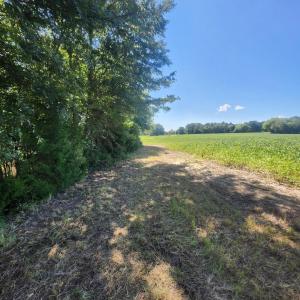 Photo #9 of Epsom Rocky Ford, Henderson, NC 32.0 acres