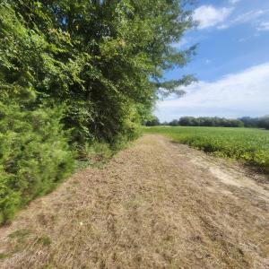 Photo #20 of Epsom Rocky Ford, Henderson, NC 32.0 acres
