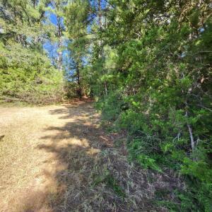Photo #8 of Epsom Rocky Ford, Henderson, NC 32.0 acres