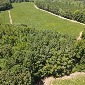 Photo #6 of Epsom Rocky Ford, Henderson, NC 32.0 acres
