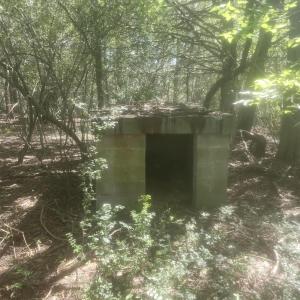 Photo #13 of Epsom Rocky Ford, Henderson, NC 32.0 acres