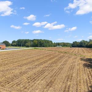 Photo #10 of 6086 Nc 231, Middlesex, NC 8.2 acres