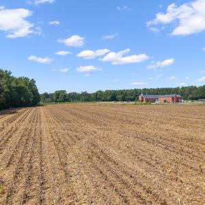 Photo #9 of 6086 Nc 231, Middlesex, NC 8.2 acres