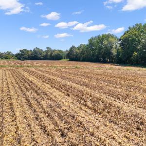 Photo #11 of 6086 Nc 231, Middlesex, NC 8.2 acres