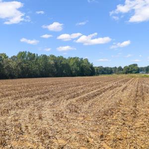 Photo #8 of 6086 Nc 231, Middlesex, NC 8.2 acres