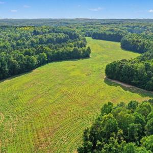 Photo #23 of 6056 Hobgood, Rougemont, NC 300.0 acres