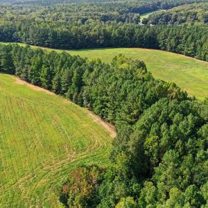 Photo #27 of 6056 Hobgood, Rougemont, NC 300.0 acres