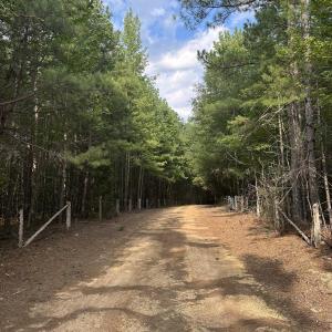 Photo #7 of 6056 Hobgood, Rougemont, NC 300.0 acres