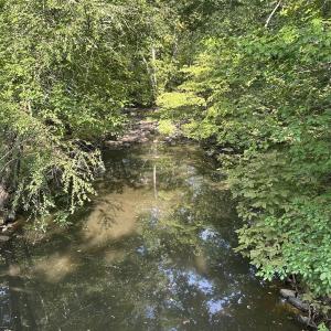 Photo #14 of 6056 Hobgood, Rougemont, NC 300.0 acres