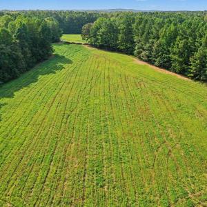 Photo #26 of 6056 Hobgood, Rougemont, NC 300.0 acres