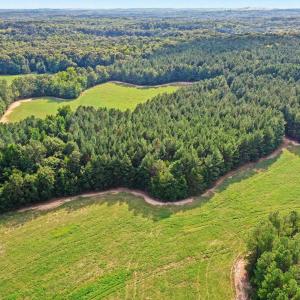 Photo #21 of 6056 Hobgood, Rougemont, NC 300.0 acres