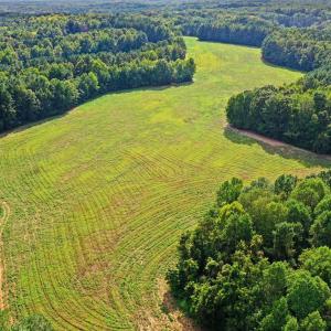 Photo #24 of 6056 Hobgood, Rougemont, NC 300.0 acres