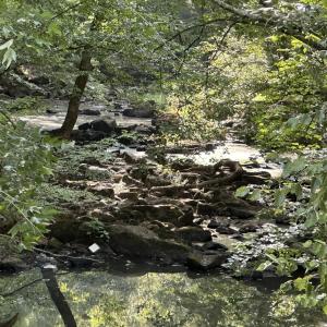 Photo #12 of 6056 Hobgood, Rougemont, NC 300.0 acres