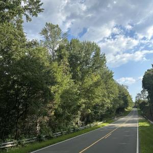 Photo #15 of 6056 Hobgood, Rougemont, NC 300.0 acres