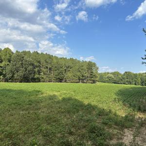 Photo #8 of 6056 Hobgood, Rougemont, NC 300.0 acres